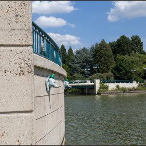 IMG 7234