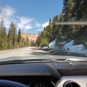 Dixie National Forest