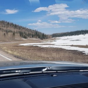 Aus der Wüstenhitze in den Schnee - Dixie National Forest