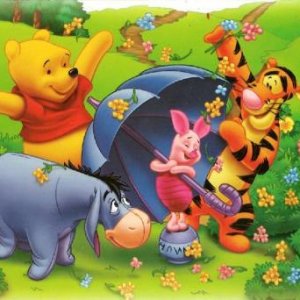 Winni Pooh & Friends, Polen
