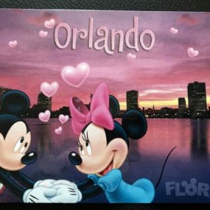 Mickey & Minnie, Amerika