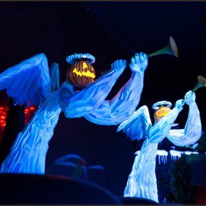 IMG 7996 1