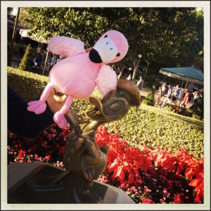 thumb FYXP8669 1024