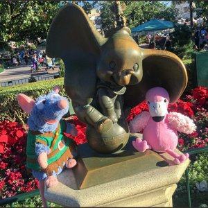 thumb IMG 5193 1024
