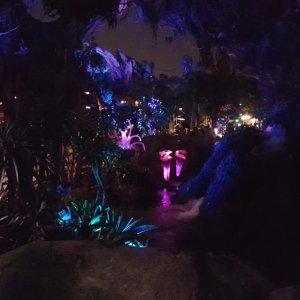 20170806 220020