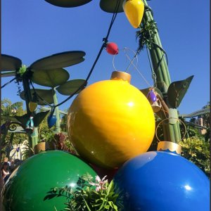 thumb IMG 5331 1024