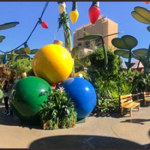 thumb IMG 5333 1024