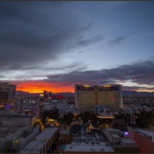 IMG 8993