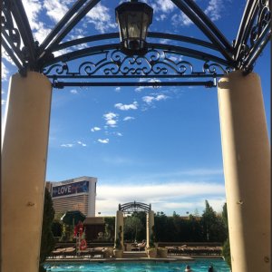 thumb IMG 5639 1024