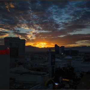 IMG 9182