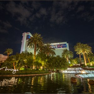 IMG 9192