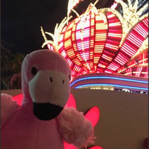 thumb IMG 5926 1024