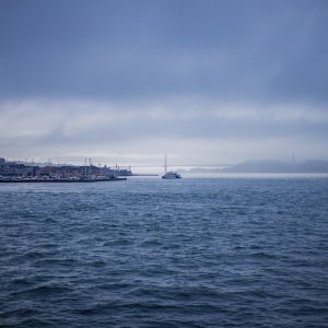 IMG 6855 1