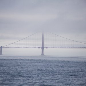 IMG 6934 1