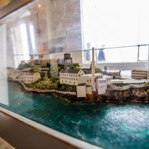IMG 7309 1