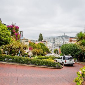 IMG 7559 1