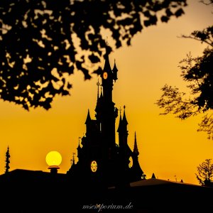 Disney Foto des Tages - 22. August 2018