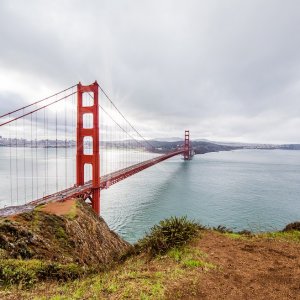 IMG 7939 1