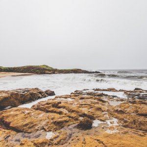 IMG 7980 1