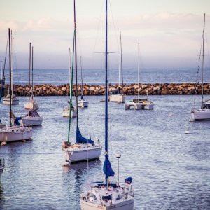 IMG 8190 1
