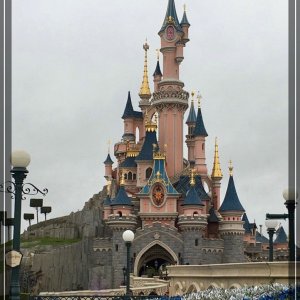 comp IMG 2218