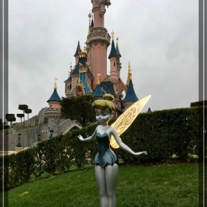 comp IMG 2224