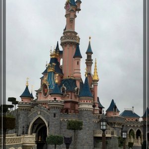 comp IMG 2227