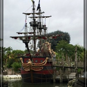 comp IMG 2254