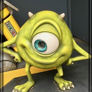 comp IMG 2273