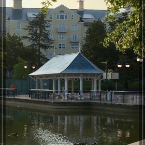 comp IMG 2301