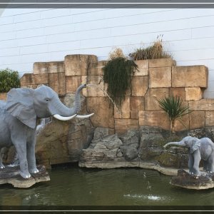 comp IMG 2309