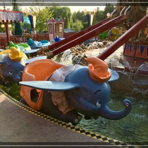 comp IMG 2335
