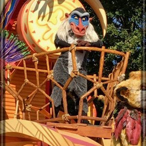 comp IMG 2440