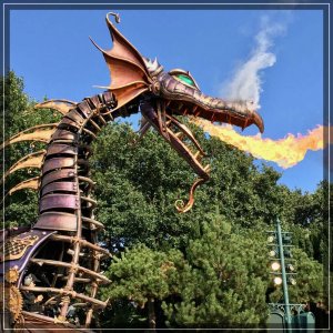 comp IMG 2476