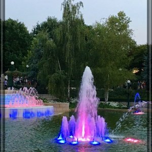 comp IMG 2652
