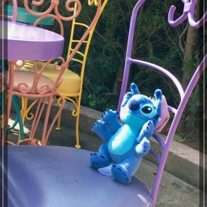 comp IMG 2949