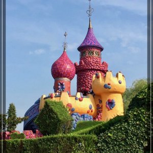 comp IMG 2958