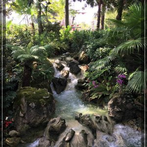 comp IMG 3020