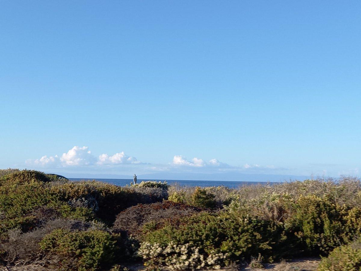 17-Mile-Drive_08.jpg