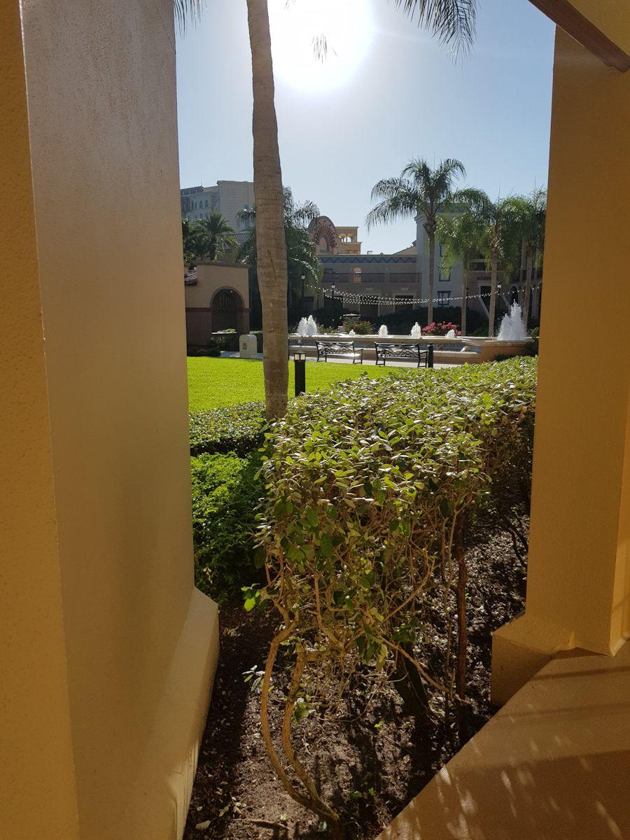 20190822_084649.jpg
