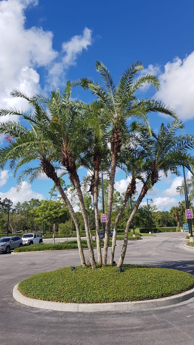 20190822_100245.jpg