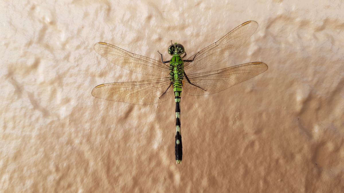 20190823_101951.jpg