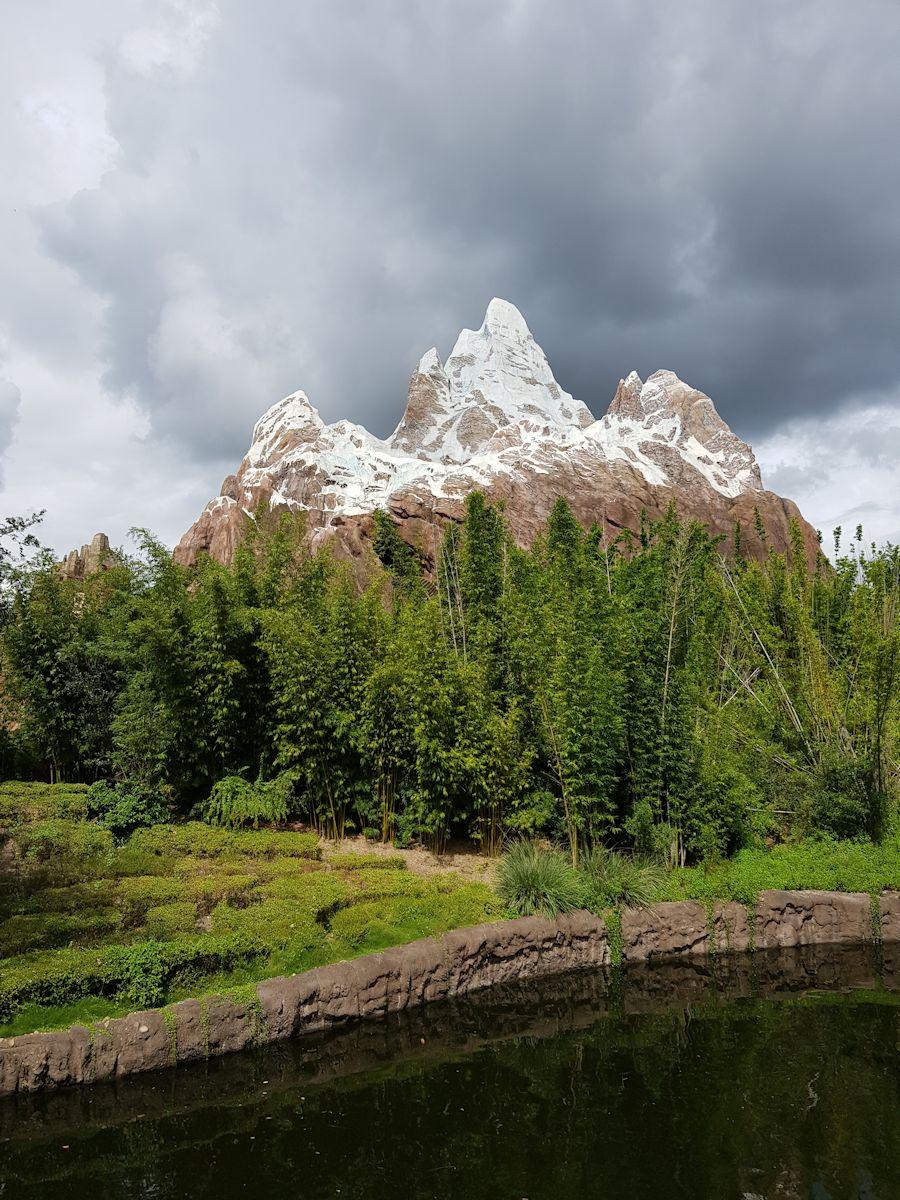20190823_160156.jpg