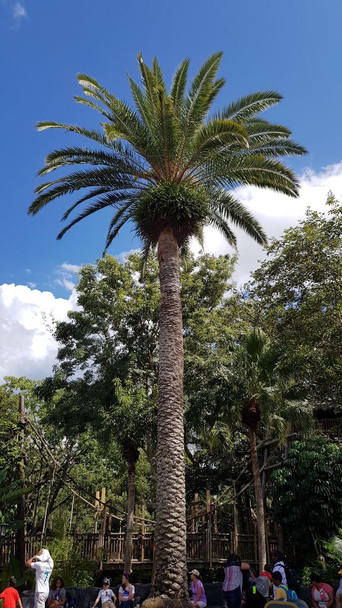20190824_155422.jpg