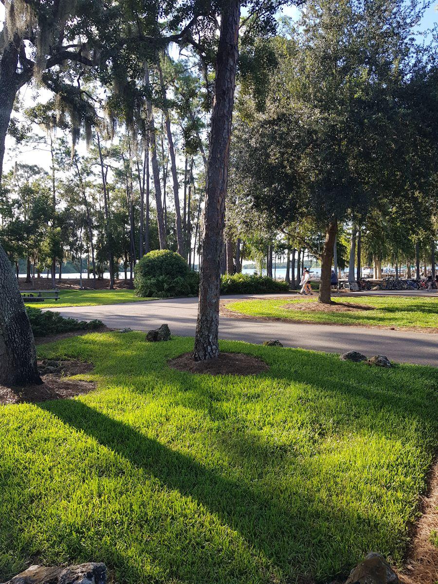 20190824_181152.jpg