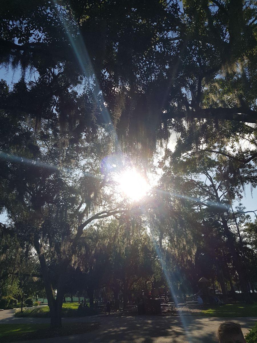 20190824_181225.jpg