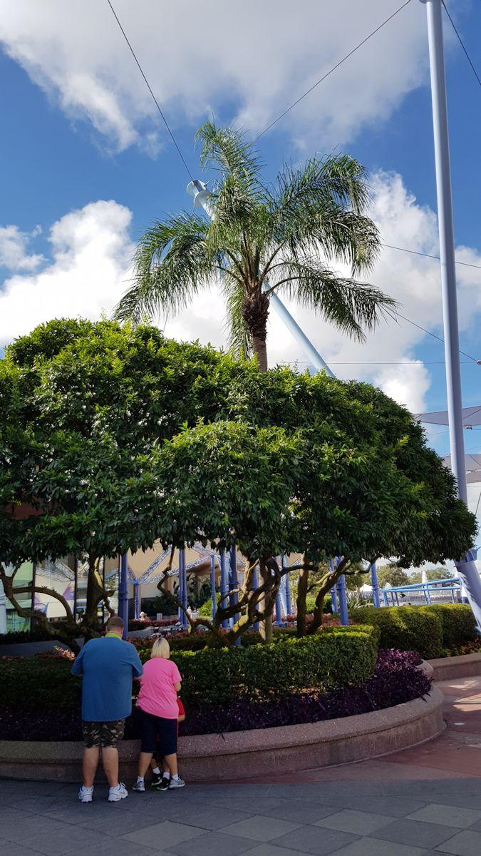 20190825_100934.jpg