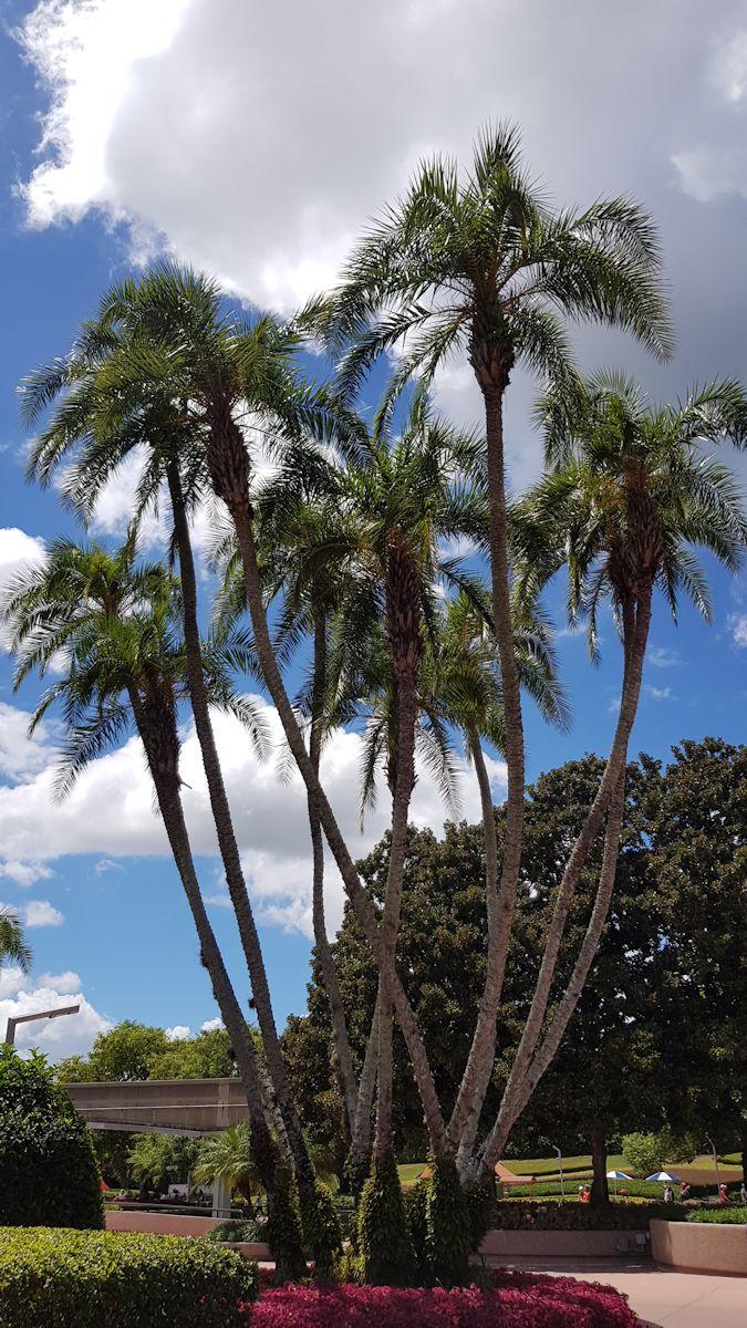 20190825_133033.jpg