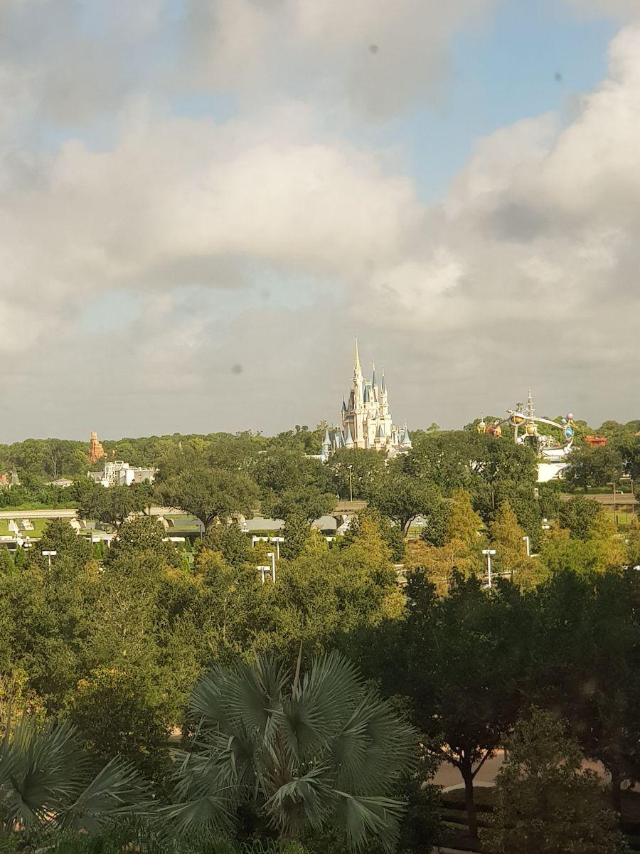20190826_092639.jpg