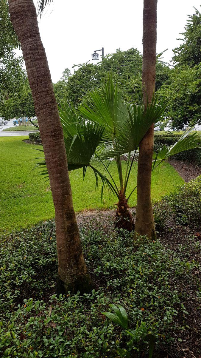 20190827_145351.jpg